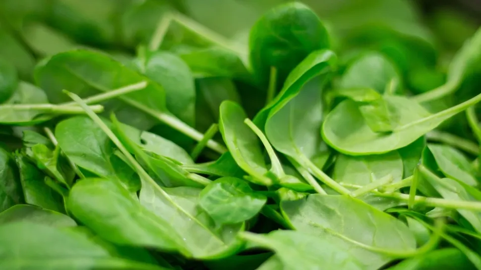 Alertă alimentară: Spanac contaminat cu hepatita A, retras de la vânzare