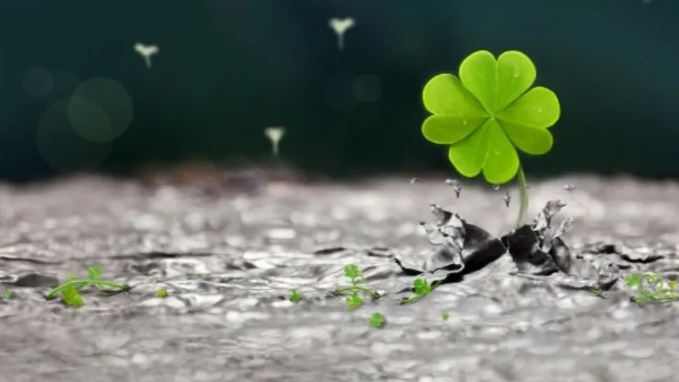 Horoscop 28 noiembrie. Zodia care stă pe un munte de bani. Se bucură de aprecierea șefilor