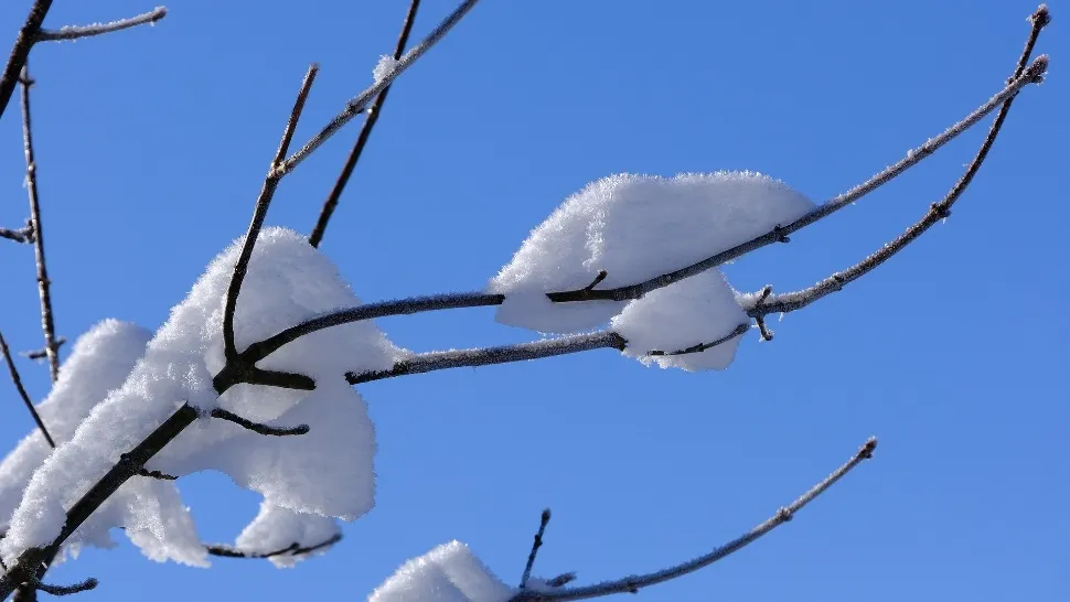 Cum va fi vremea până pe 1 ianuarie în toată țara