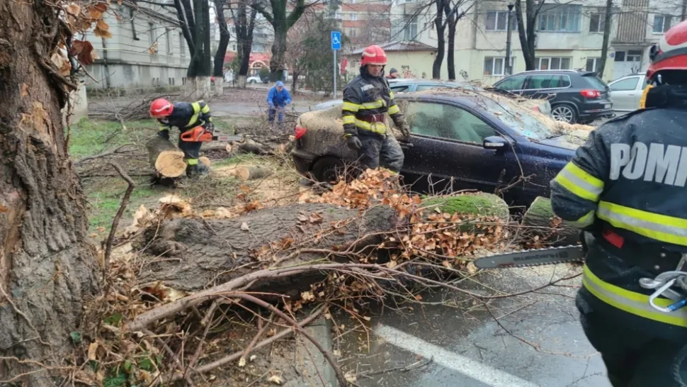 Vreme extremă în țară! 4 mașini aflate într-o parcare din municipiul Buzău, avariate de un copac pus la pământ - FOTO&VIDEO
