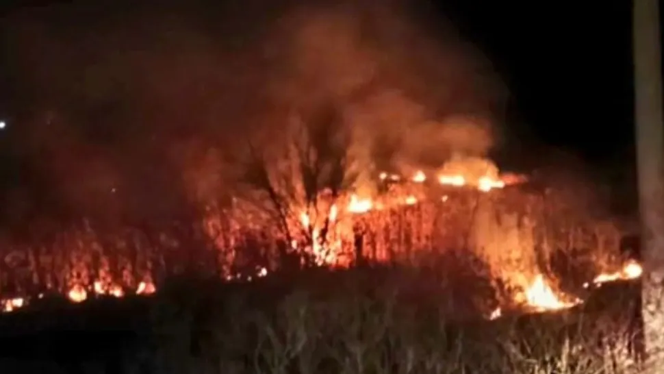 Incendiu violent în Giurgiu: 2.000 de metri pătrați de vegetație, în flăcări - Cum a pornit focul - VIDEO
