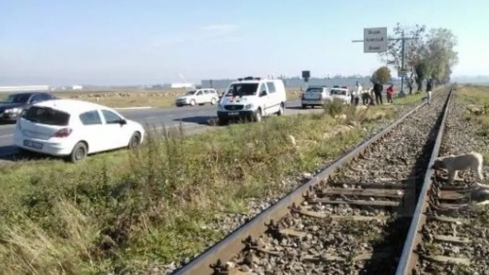 Scene înfiorătoare în jud. Brașov. Un tren a spulberat o turmă de oi. Ciobanul și 20 de animale au murit