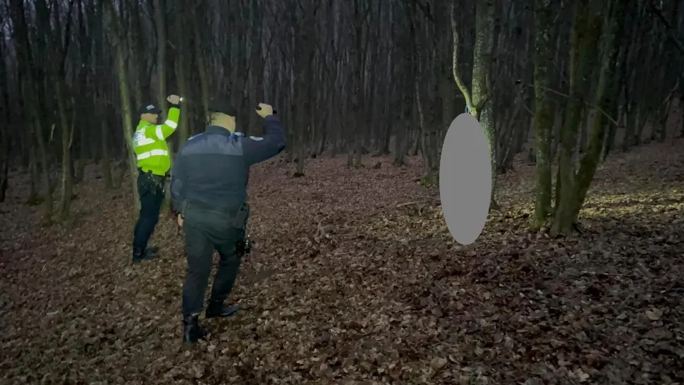 Bărbat reținut după ce a spânzurat un câine de un copac, în județul Arad - VIDEO