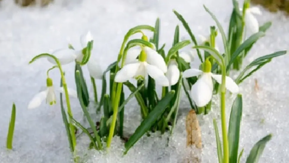 Val hibernal de căldură cu caracter excepțional peste România - temperaturi de peste 20 de grade. Avertisment fără precedent al experților 