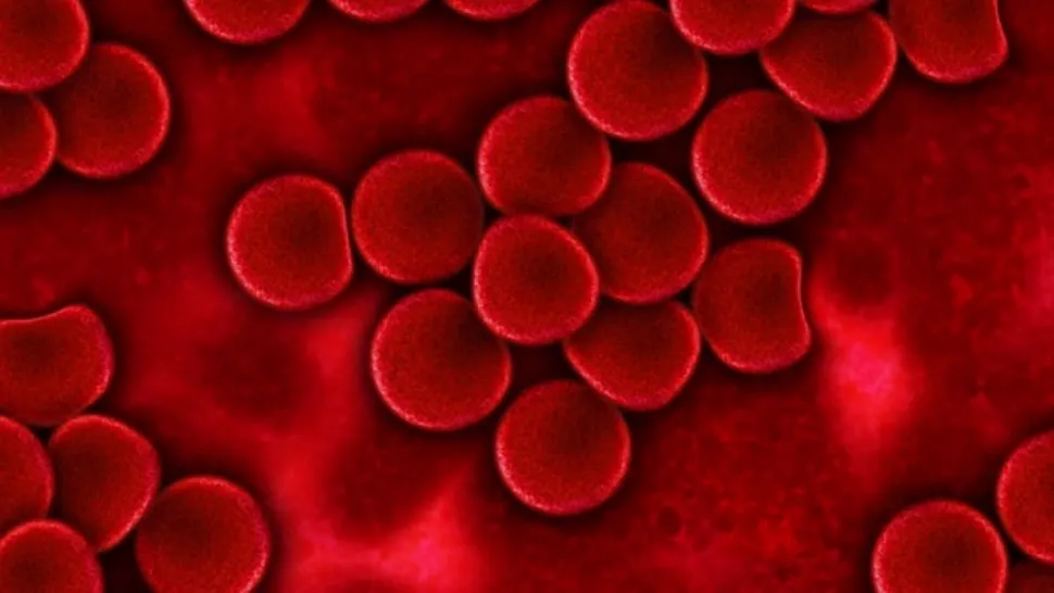 Alimentele care curăță vasele de sânge - Ar trebui introduse în dietă și consumate cel puțin o dată pe săptămână