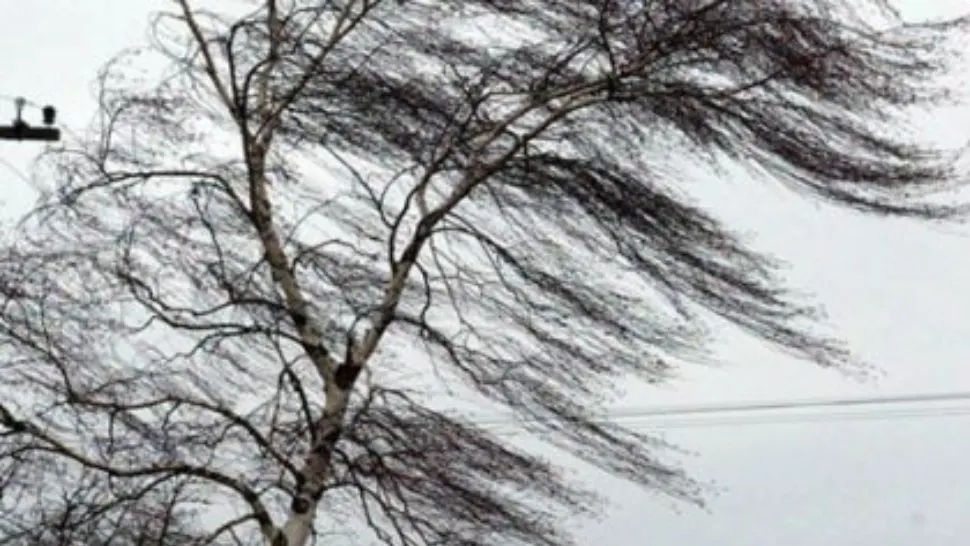 Alertă meteo de vreme severă - Cod galben de vânt puternic - Zonele vizate în următoarele ore