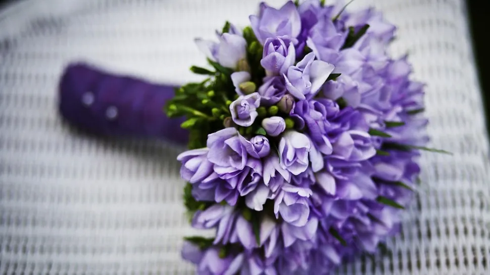 Românii vor cheltui peste 30 de milioane de euro pe florile de Mărțișor și de 8 Martie. Care sunt cele mai căutate flori