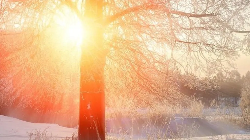 Vremea 25 februarie. Schimbări meteo în toată țara - Temperaturi în creștere - Unde vor fi ploi și ninsori 