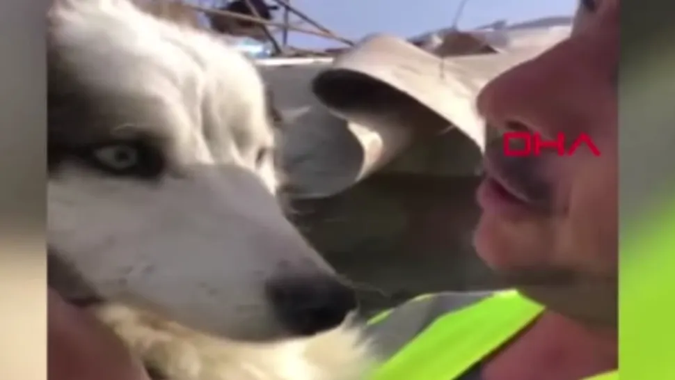 Încă un MIRACOL: câine salvat de sub dărâmături, la 23 de zile de la cutremurul devastator din Turcia - VIDEO