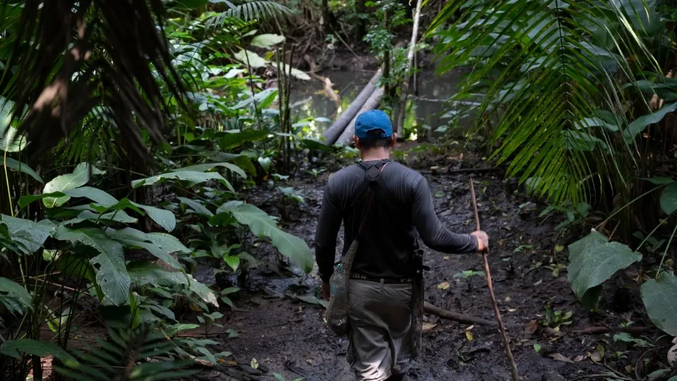 Supraviețuire extremă. A rezistat 30 de zile în Amazon doar cu insecte, râme și...propria urină