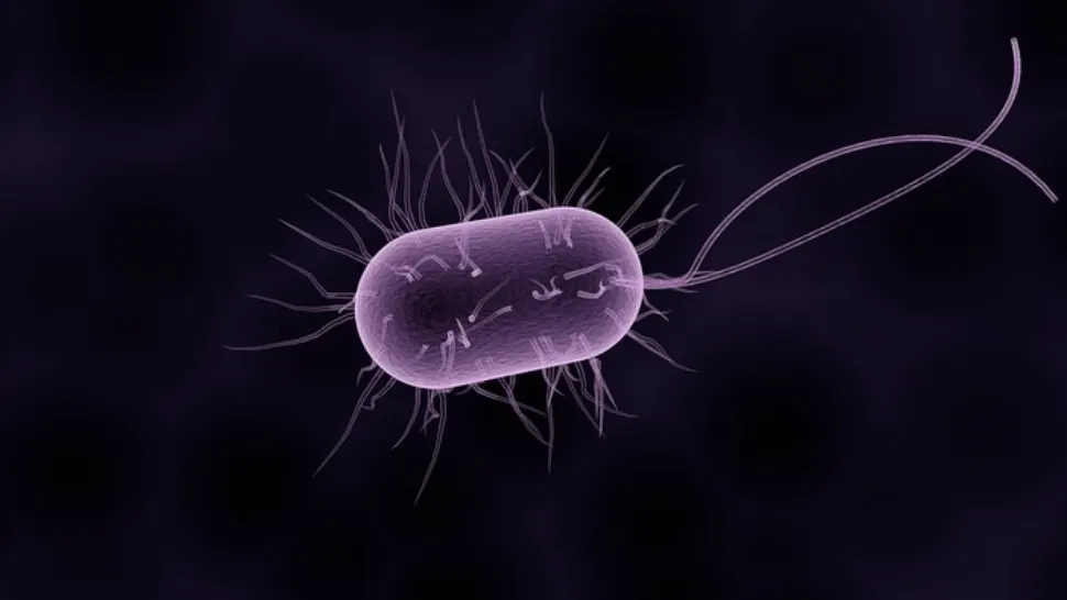 Alertă medicală: două bacterii extrem de răspândite NU mai răspund la antibiotice - una dintre cele mai grave amenințări la nivel mondial