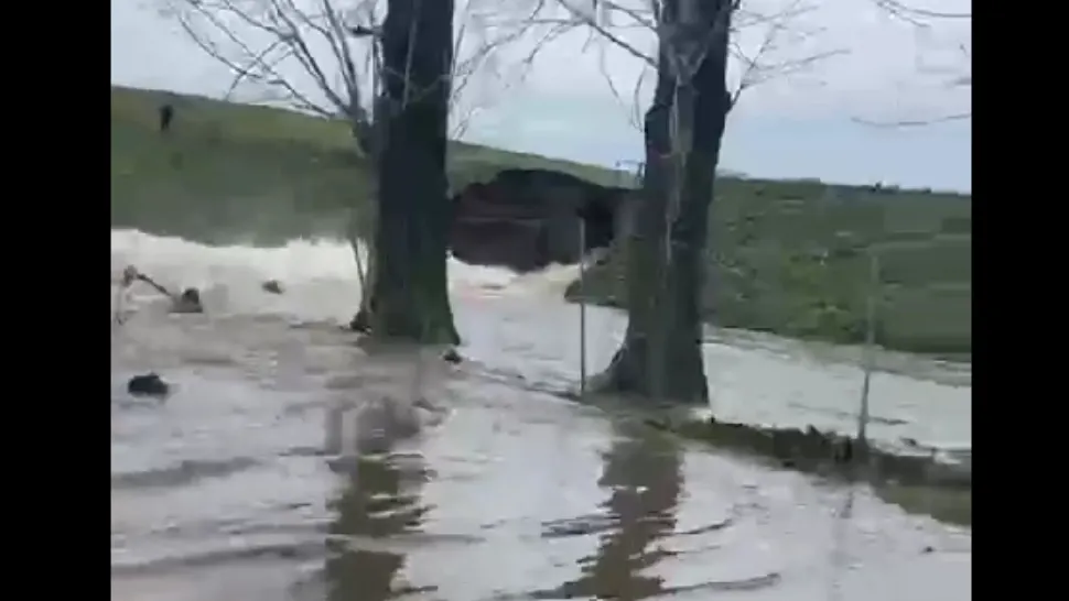 Un baraj din județul Dolj s-a rupt. Terenurile agricole din apropiere, inundate