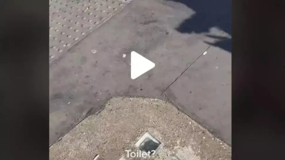 VIDEO – Absolut uluitor ce era ascuns sub o gură de canalizare, în mijlocul orașului – Un trecător a filmat totul prin găurile scurgerii