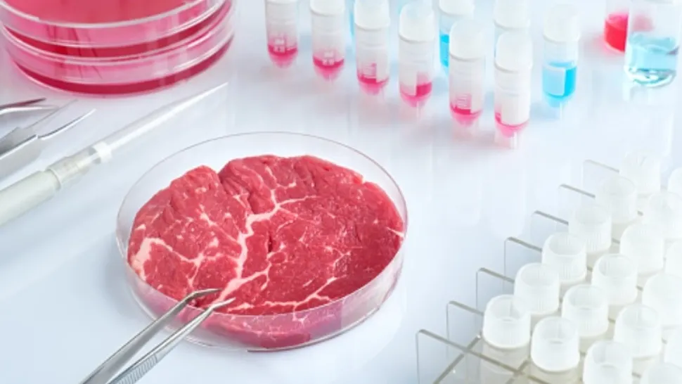 Descoperire uluitoare a oamenilor de știință: carne clonată în laborator, fără antibiotice