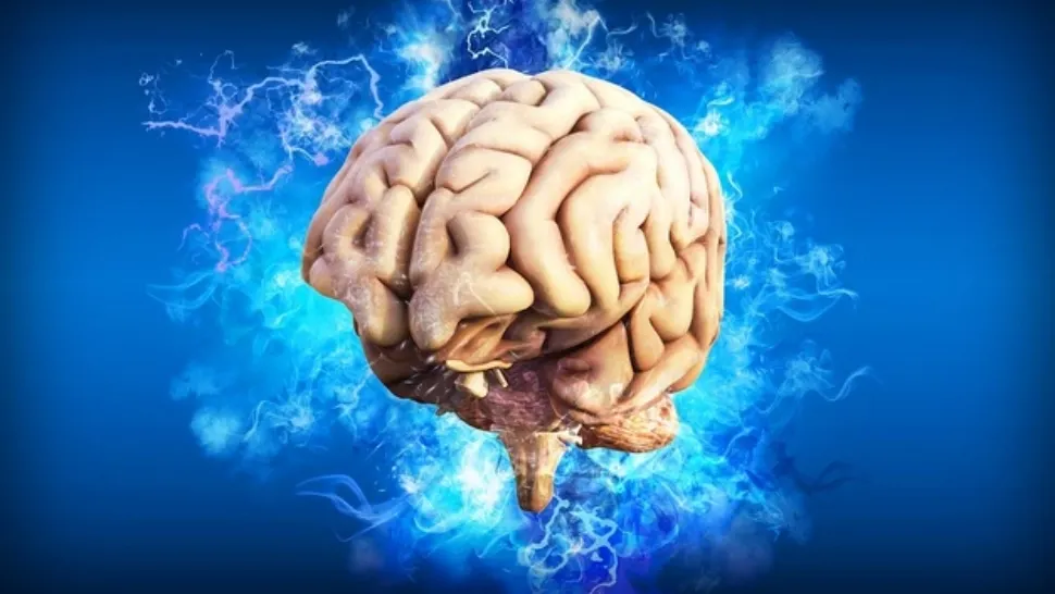 Cele mai toxice alimente pentru creier - secretele dezvăluite de un neurochirurg român