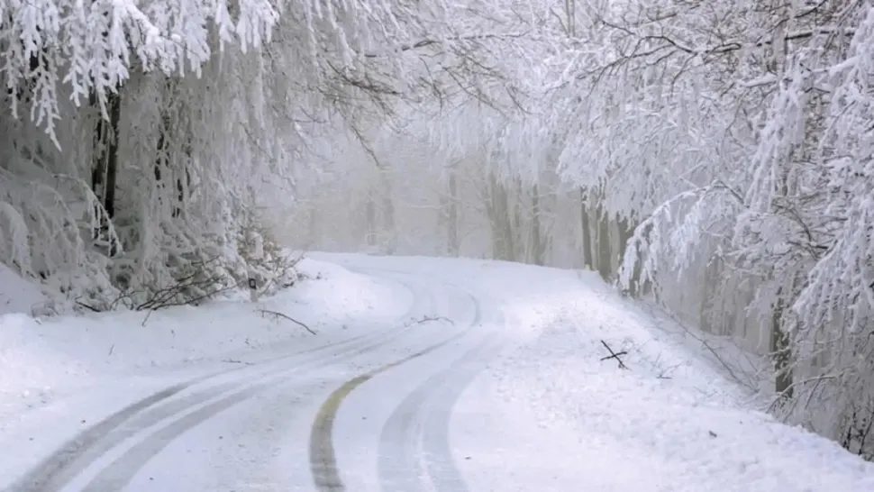ALERTĂ METEO de fenomene periculoase - vânt puternic, ninsori și precipitații abundente. Cod galben în România - HARTA