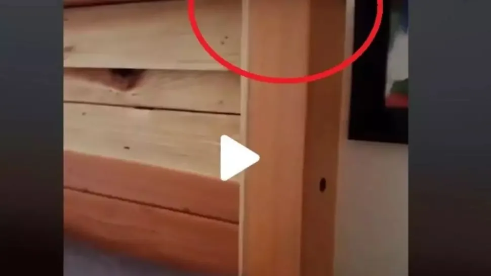 VIDEO – Ce au găsit părinții în capul patului din camera fiicei – La un pas de leșin când și-au dat seama la ce folosesc