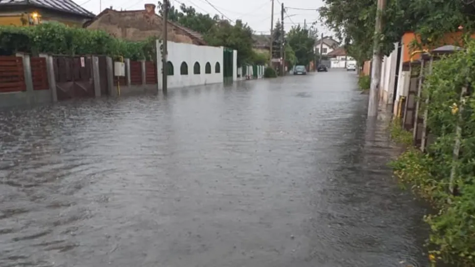 Creșteri de debite pe cursurile de apă din Dolj. Curți și grădini inundate