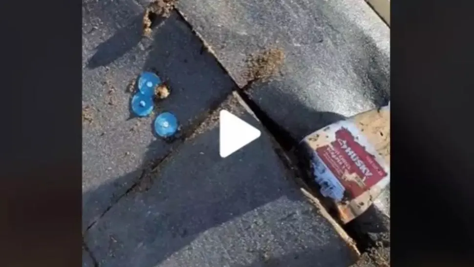 VIDEO – S-a urcat pe acoperiș pentru că se auzeau zgomote ciudate – A tăiat placajul și a făcut o descoperire terifiantă