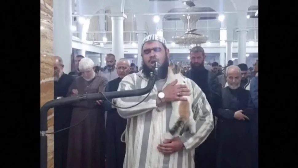 Imagini de tot râsul! O pisică se cațără pe un imam în timpul slujbei. VIDEO devenit viral
