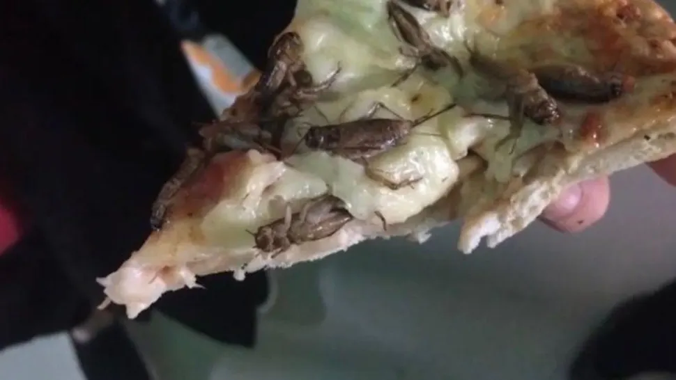 A apărut prima pizza cu greieri prăjiți - Cât costă și unde a fost vândută