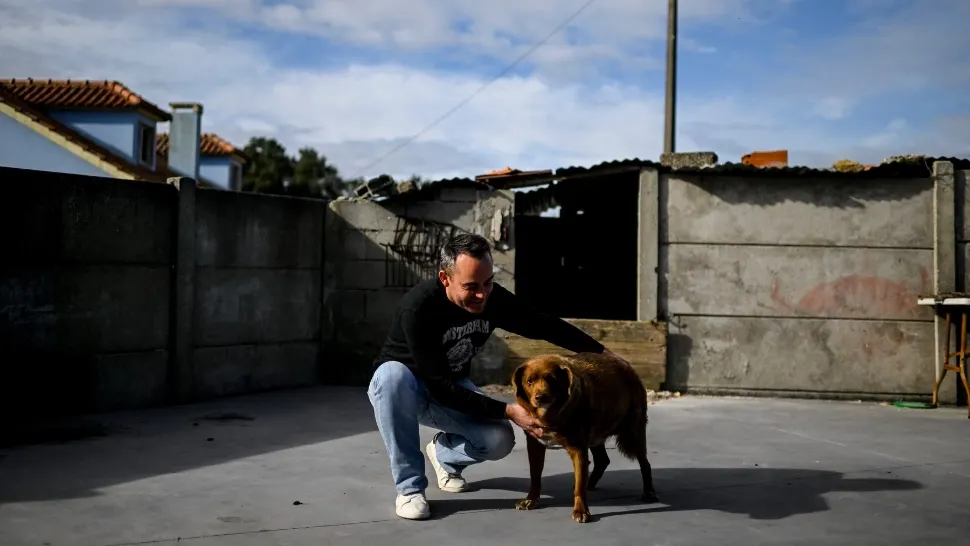 Câți ani are cel mai bătrân câine din lume? A intrat în Cartea Recordurilor VIDEO/FOTO