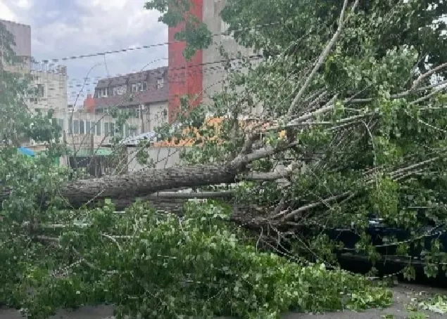 Atenționare meteorologică, un nou cod GALBEN de furtuni și instabilitate atmosferică. Vezi HARTA