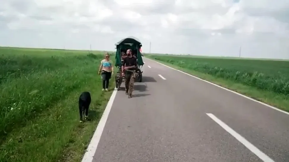 O familie a plecat cu căruța din Franța spre Palestina - Aceștia au fost găsiți în județul Timiș