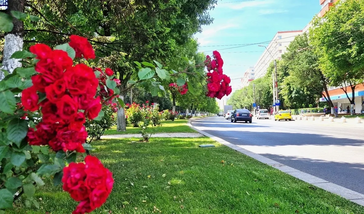 Cum întâmpină vara Obregia și Giurgiului, două dintre perlele Sectorului 4