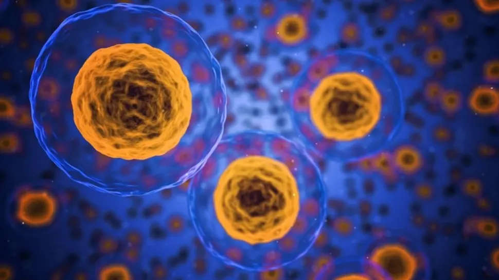 Top 10 alimente care te protejează de cancer - Merită incluse cât mai des în alimentație