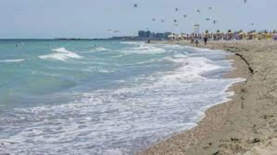 Alertă de HOLERĂ în România. Managerul Institutului Matei Balş, anunț important despre litoral - ce trebuie să știe oamenii care intră în apă