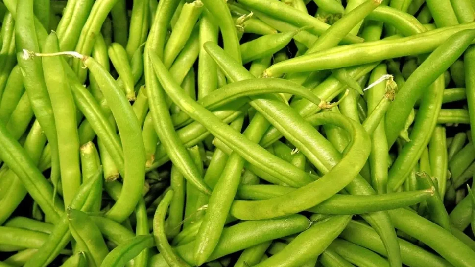 Fasolea verde, beneficii uimitoare pentru sănătate: de ce trebuie inclusă zilnic în alimentație
