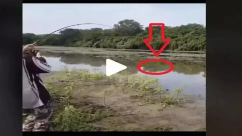 VIDEO – Pescarul apucase să scoată un pește uriaș din apă, după ce s-a chinuit zeci de minute în șir - În doar câteva secunde a rămas fără el