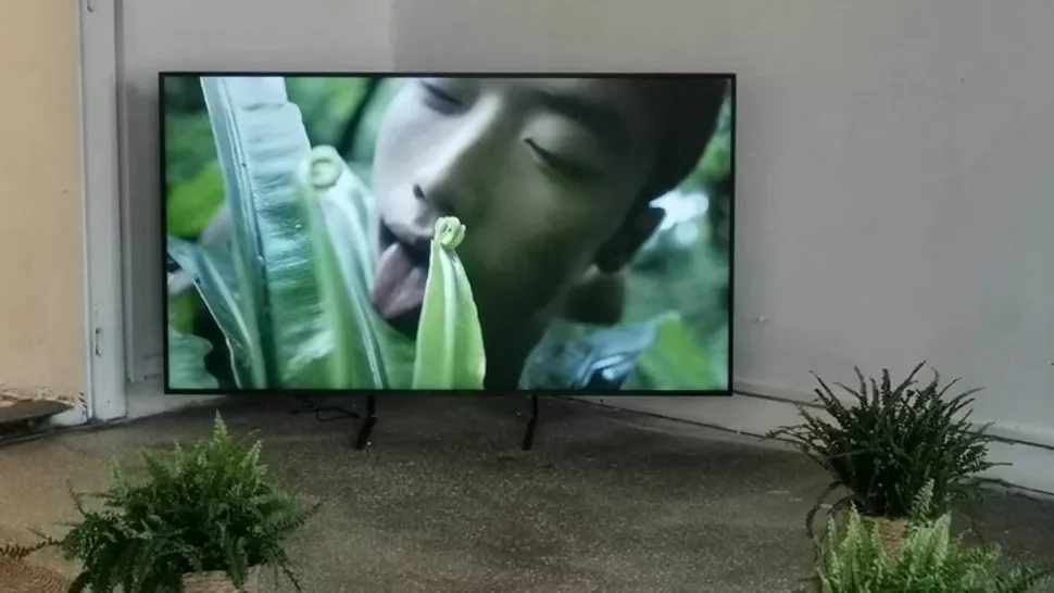 Erotism și relații intime cu plante. Instalație controversată la Garnizoana din Timișoara - IMAGINI EXPLICITE