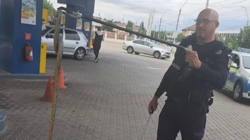 Teroare într-o benzinărie din Mehedinți. Un șarpe de 2 metri s-a încolăcit pe furtul pompei de alimentare
