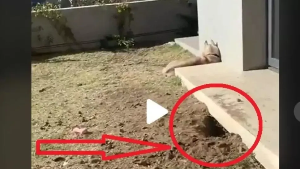 VIDEO - Proprietarul unei case a auzit zgomote buternice de sub locuința sa - A ieșit repede afară, a văzut o groapă și început să filmeze