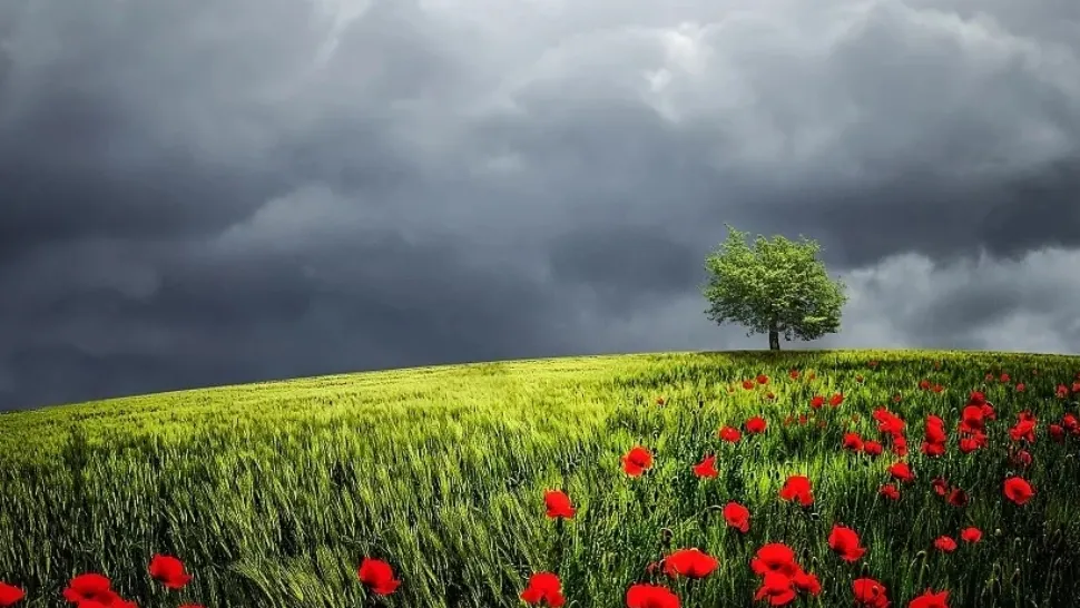 Prognoza meteo 8 iunie. Vreme caldă, dar instabilă - zonele lovite de furtuni cu grindină