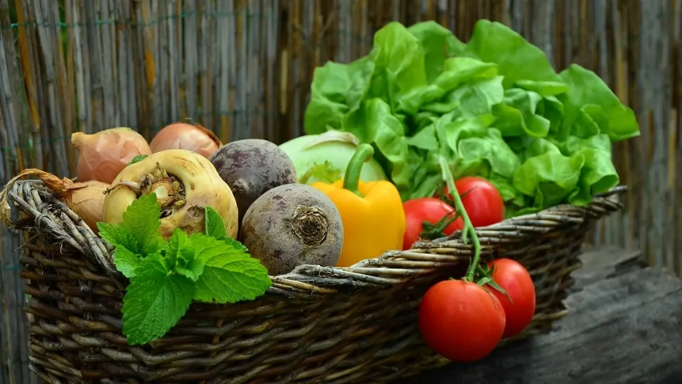 Statul subvenționează fermierii, dar  nu verifică otrava. Ce pericole se ascund în alimentele populare