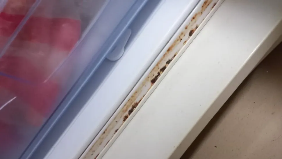 Primul cămin al groazei, închis în urma controlului de luni! Oamenii primeau mâncare expirată - Imagini cutremurătoare din interior - VIDEO