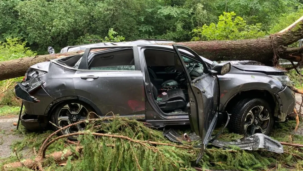 Furtună violentă pe Transalpina. O femeie a murit, după ce un copac a căzut peste mașină. 14 autoturisme, blocate pe DN 67C - FOTO