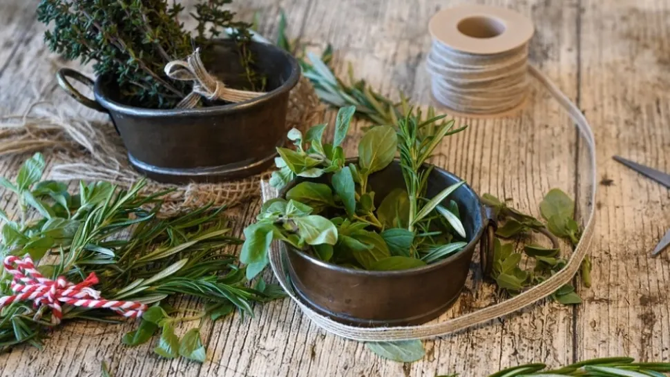 Cea mai puternică plantă: balsam pentru creier, inimă, vase, piele, păr și siluetă. 6 beneficii care au uimit lumea medicală