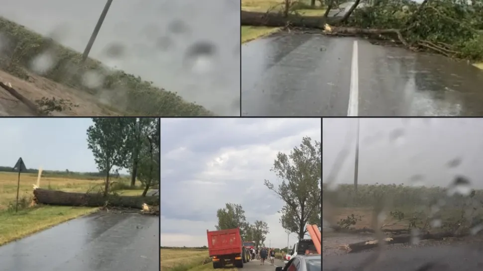 Furtună violentă cod roșu în județul Arad. IMAGINI DE COȘMAR la Ineu -  Acoperișuri smulse, copaci rupți- VIDEO