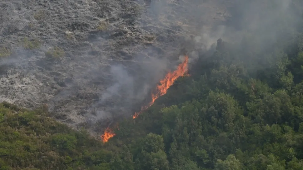 Noi ordine de evacuare în Grecia! Pompierii eleni, la capătul puterilor: au avut de luptat cu 90 de incendii într-o singură zi - Suprafața mistuită de flăcări e uriașă