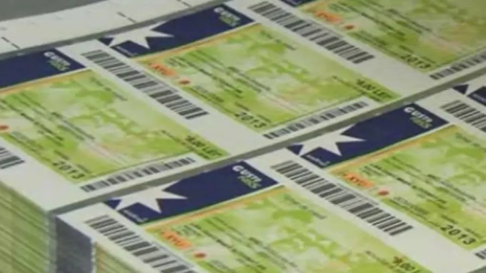 Consiliul Concurenței suspectează de fraude firmele care emit tichete de masă - Investigație deschisă de autorități