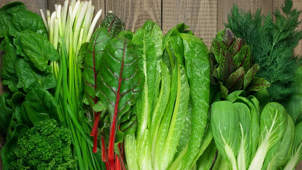 Singurul aliment care trebuie să fie inclus obligatoriu în dieta ta pe timp de caniculă