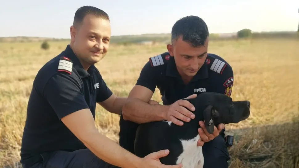 Căţeluşă salvată de pompieri dintr-o fântână adâncă, după 12 ore de captivitate, la Giurgiu - Povestea emoționantă