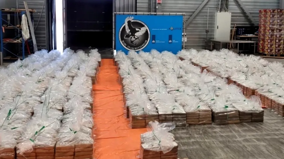 Captură record. 8 tone de droguri, descoperite în portul Rotterdam. În ce erau ascunse stupefiantele