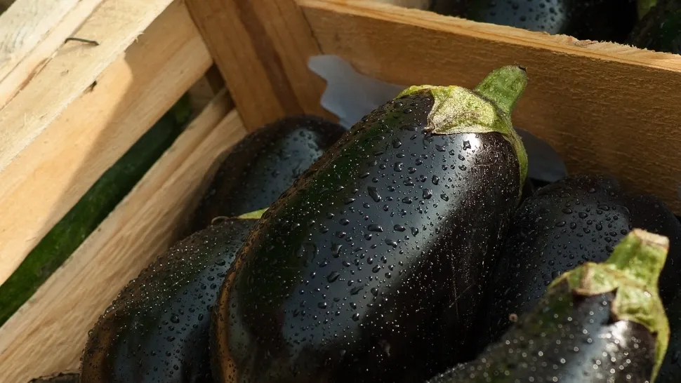 A început  sezonul vinetelor în piețe. Care mai este prețul lor la tarabă