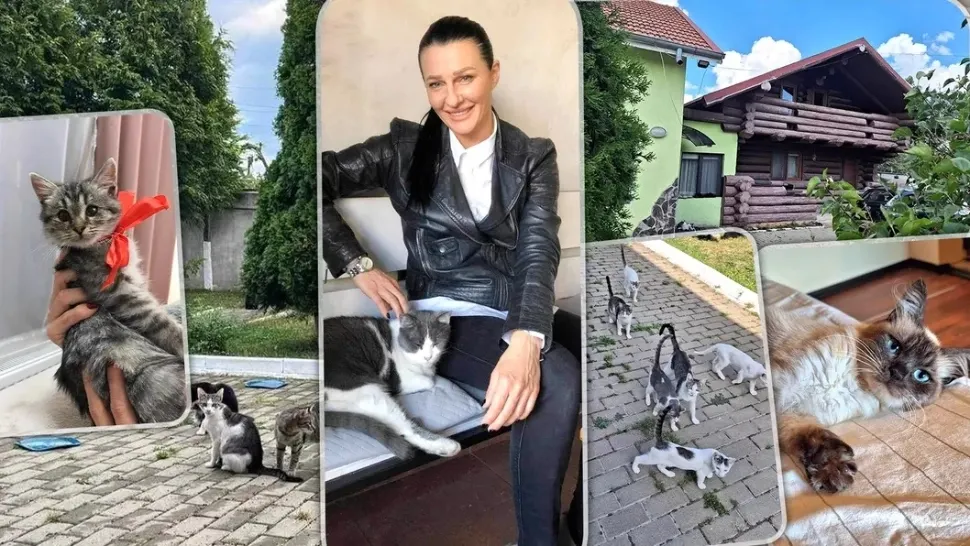 Mama pisicilor abandonate. O femeie de afaceri din Iași a salvat de pe strada 34 de feline și le-a amenajat o cabană de lux