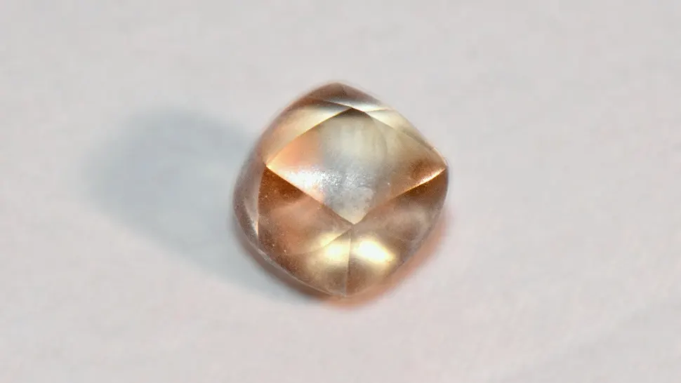 Un diamant de 2,95 carate, găsit de o fetiță într-un parc din SUA. Descoperire uimitoare